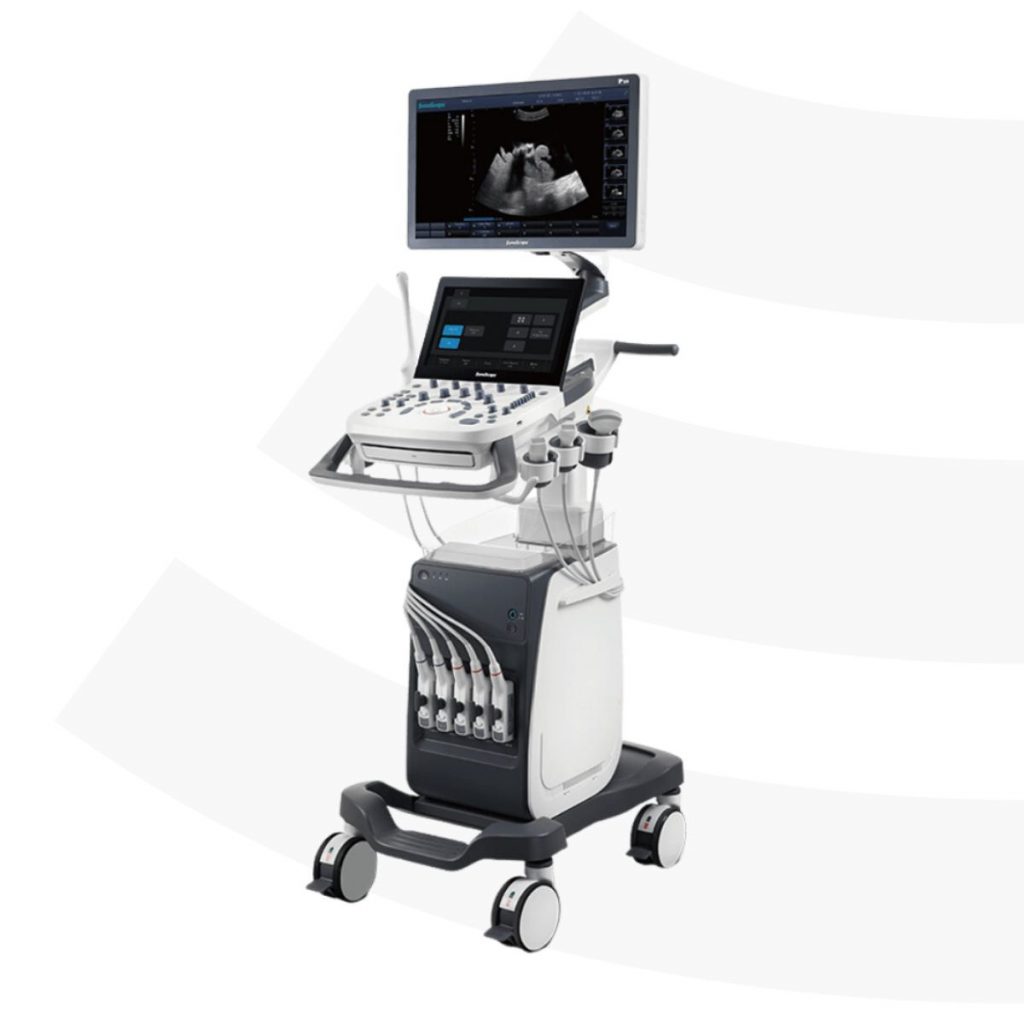 Ultraschallgerät SonoScape P10
